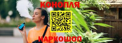 mdpv Краснознаменск