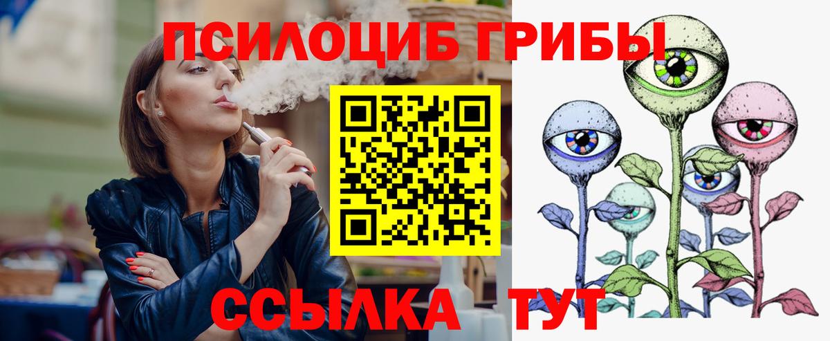 Златоуст  Псилоцибиновые грибы Psilocybe  Вход с VPN 